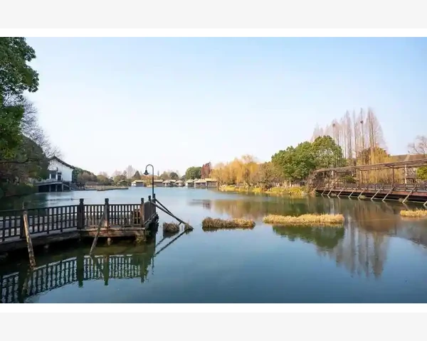 大蒜会刺激脾胃吗？胃疼该如何应对？