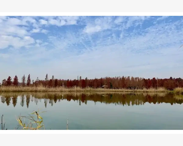 气血不足：身体的能量与血液来源枯竭的不可忽视过程